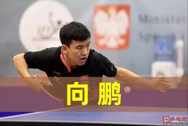 驱逐场面背 驱逐场面背